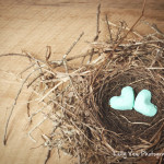 Meshing Two Nests: How to Handle Moving in Together When you Both have Kids